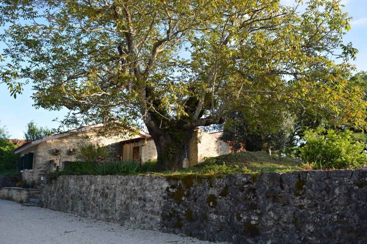 Casa Da Pedra Villa Ancião Kültér fotó
