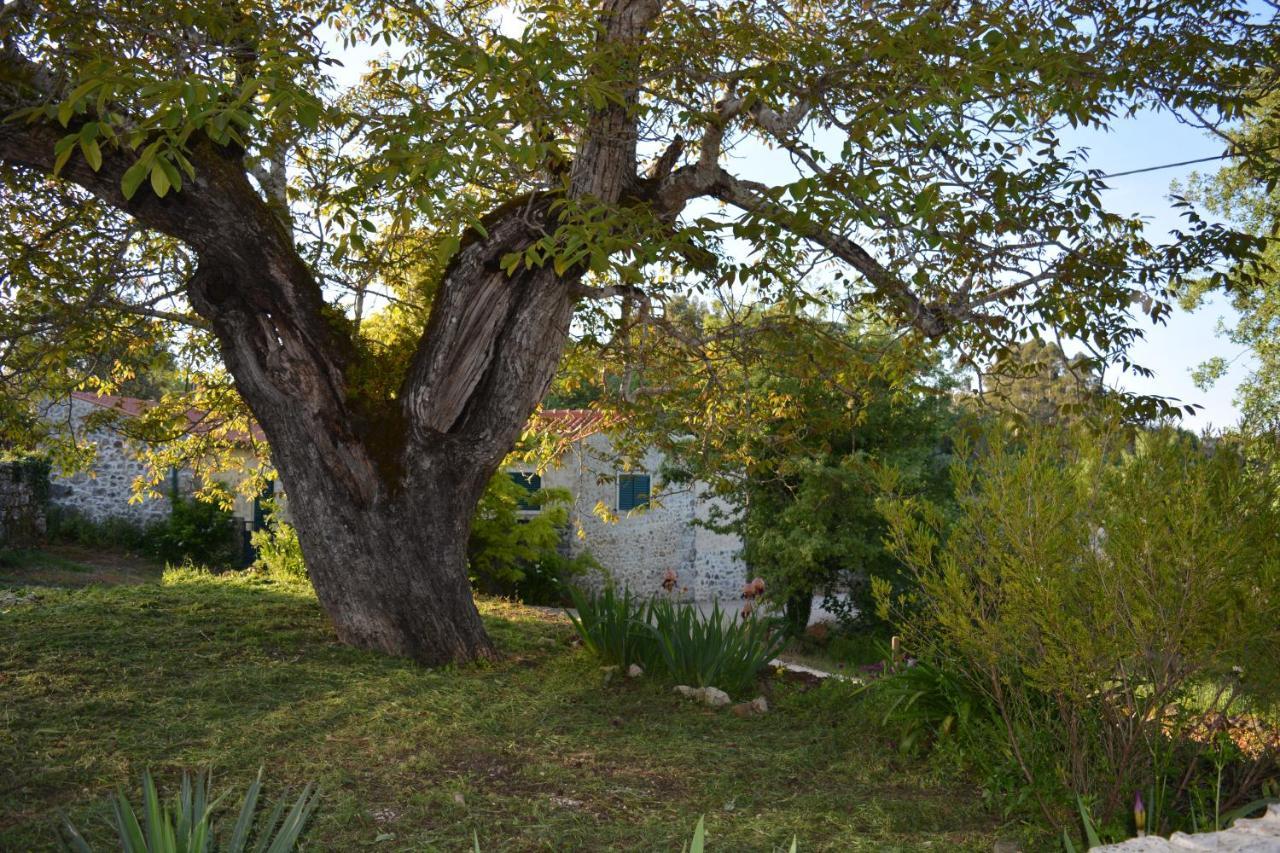 Casa Da Pedra Villa Ancião Kültér fotó